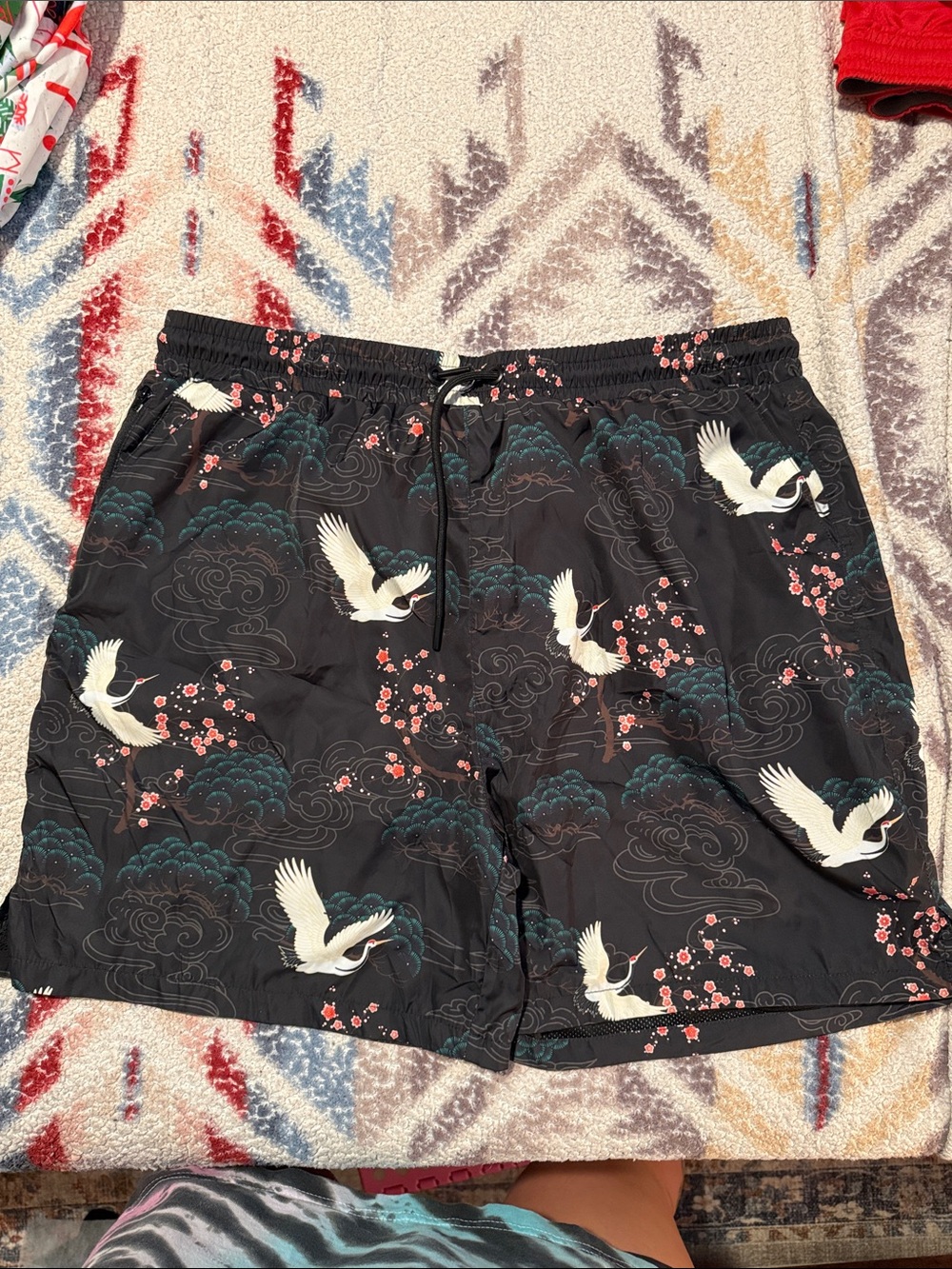 Men's Black Crane-Print Shorts